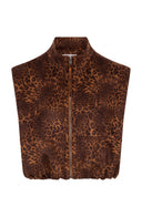 Axel Gilet | Bruin