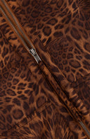 Axel Gilet | Bruin